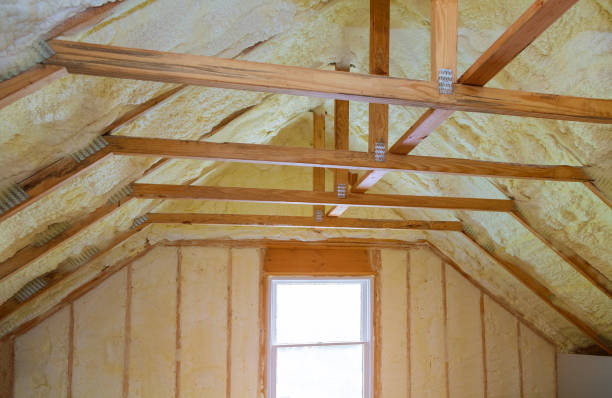 Best Spray Foam Insulation  in Iona, FL